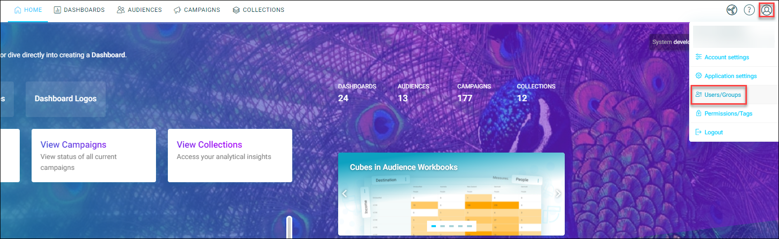 Users groups