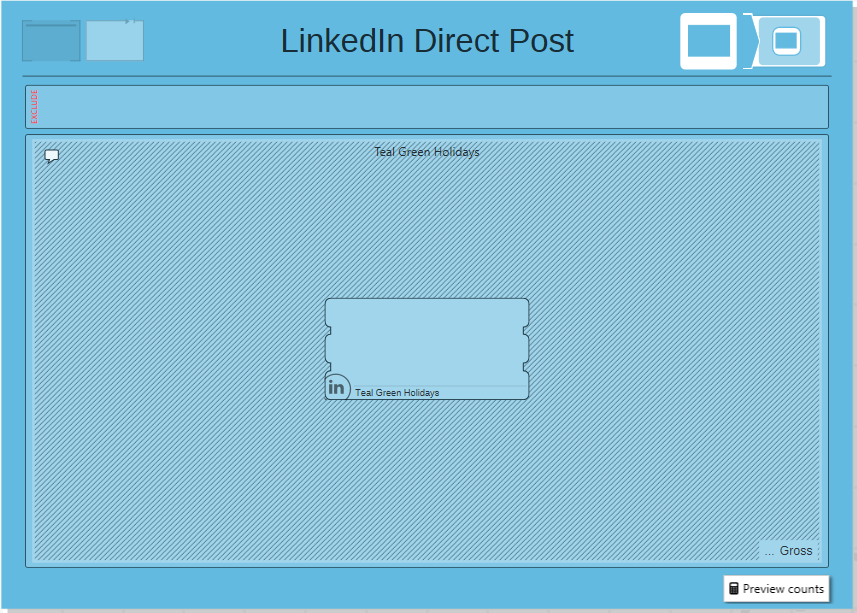 LinkedIn Audience